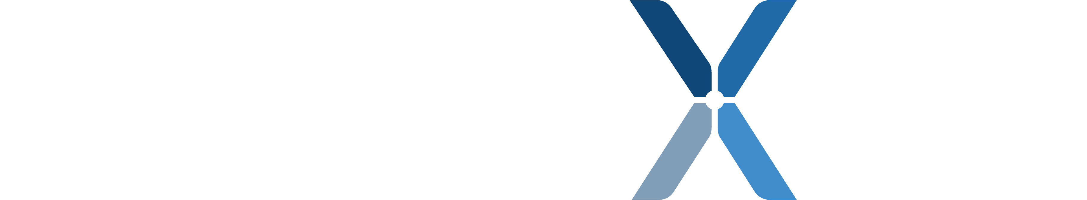 BizNexus